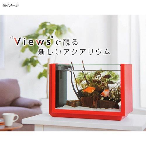 コトブキ工芸 ビュース レッド ③032Gkom1820 サイズ:33×19×22cm ガラス製インテリア水槽セット 4972814170032_画像2