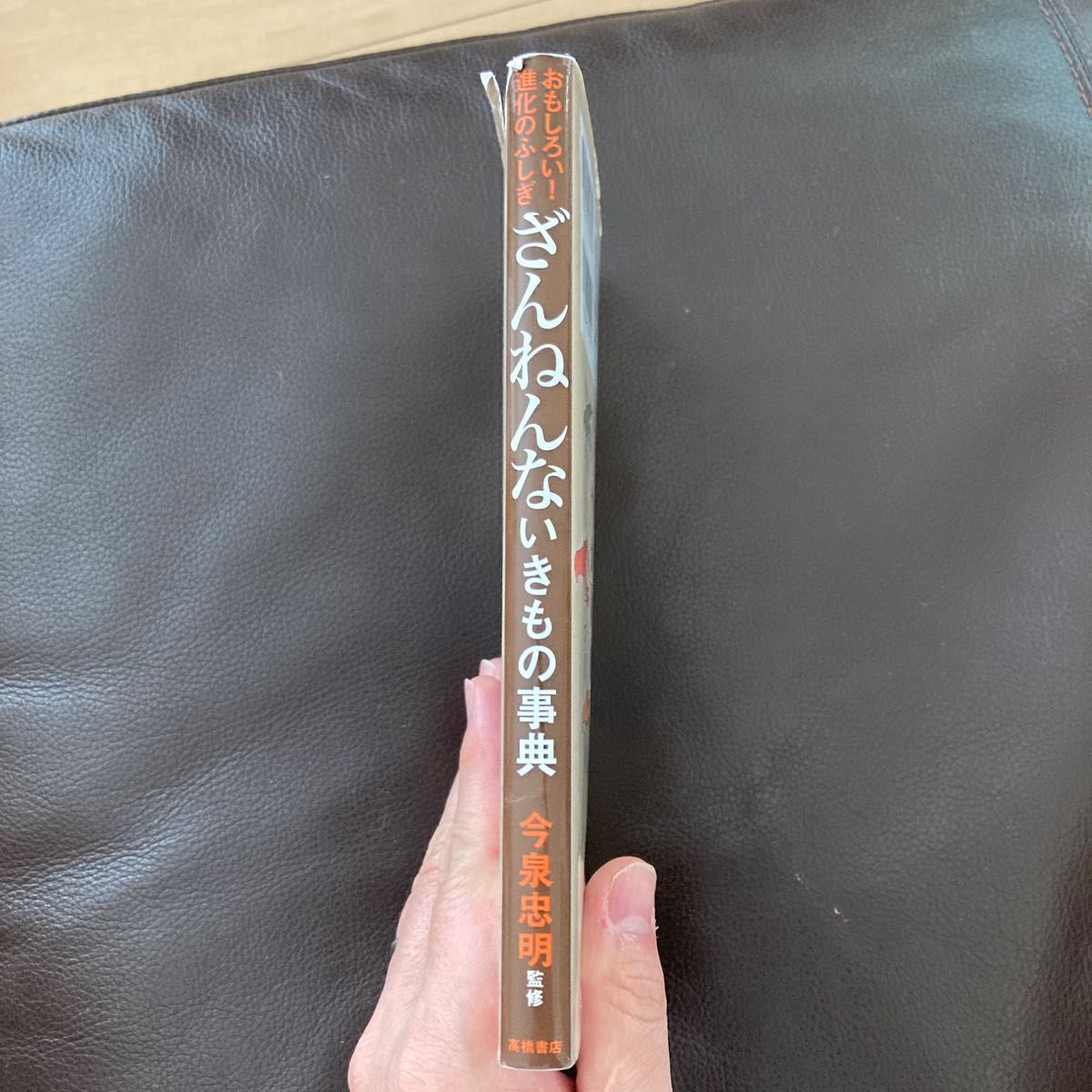 ざんねんないきもの事典　おもしろい！進化のふしぎ （おもしろい！進化のふしぎ） 今泉忠明監修　下間文恵、徳永明子、かわむらふゆみ絵