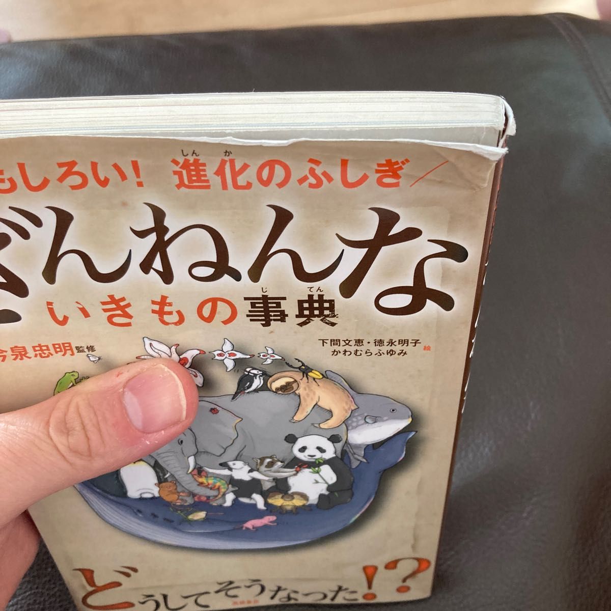 ざんねんないきもの事典　おもしろい！進化のふしぎ （おもしろい！進化のふしぎ） 今泉忠明監修　下間文恵、徳永明子、かわむらふゆみ絵