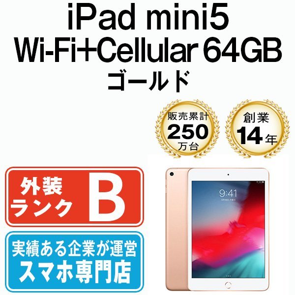 全ての 2019年 第5世代 7.9インチ Wi-Fi+Cellular A2124 ゴールド 64GB