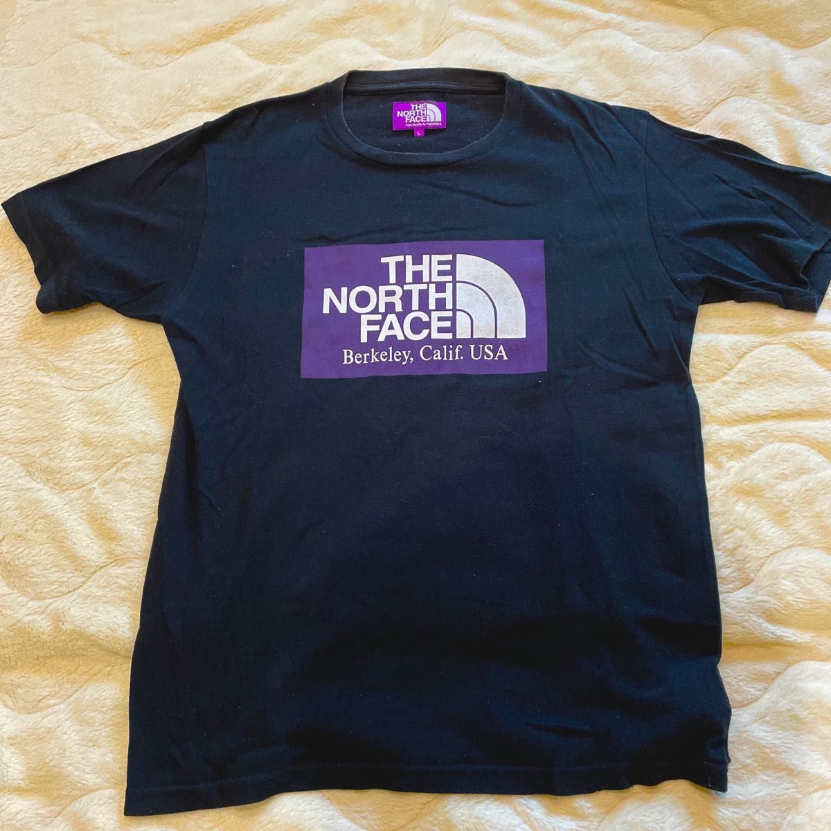 THE NORTH FACE PURPLE LABEL