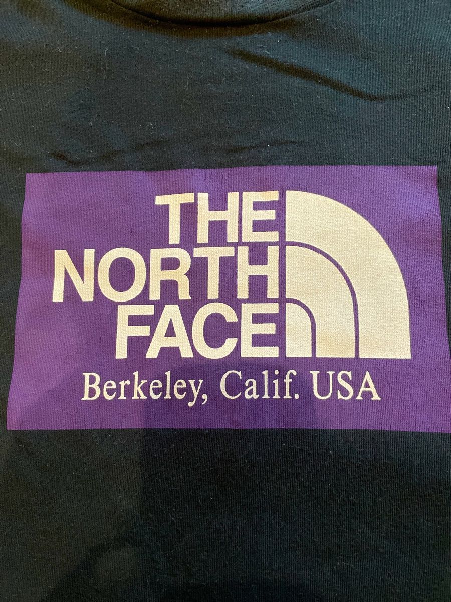 THE NORTH FACE PURPLE LABEL