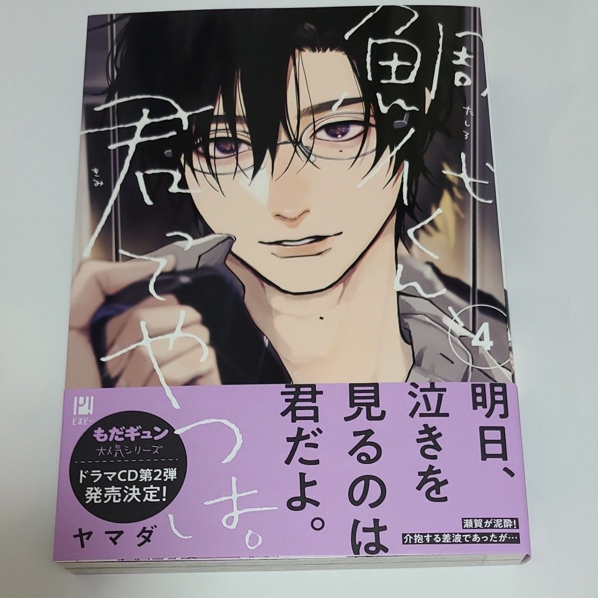 鯛代くん 君ってやつは 4巻 特典 ペーパー アニメイト 書店 鯛代くん 君ってやつは 4巻 特典 ペーパー アニメイト 書店