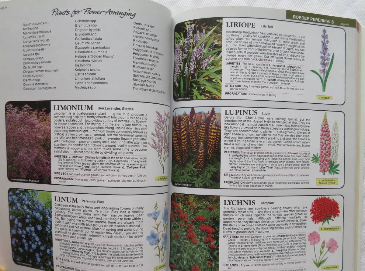  английская версия THE FLOWER EXPERT автор D.G.Hessayon садоводство / садоводство THE WORLD*S BEST-SELLING BOOK ON FLOWERS