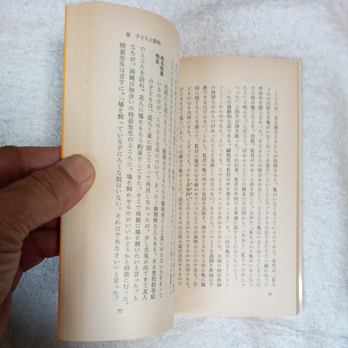 子どもの宇宙 (岩波新書) 河合 隼雄 9784004203865_画像6