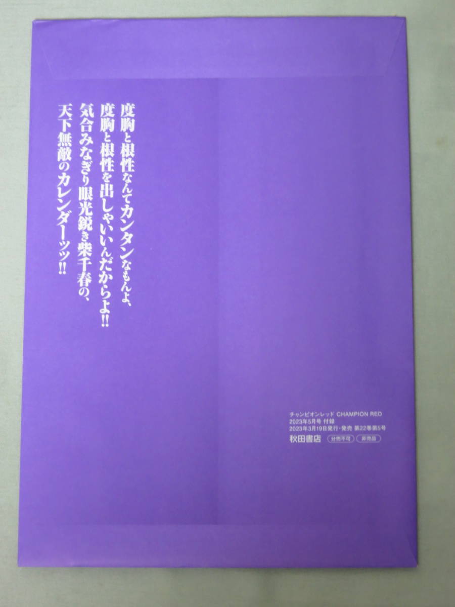 バキ外伝 花のチハル　ポスター　チャンピオンRED 2023年5月号付録_画像2