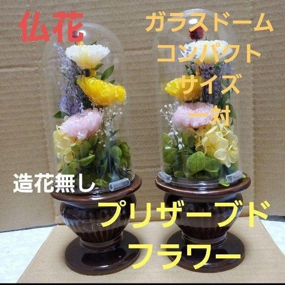 特選仏花 造花無し ガラスドーム コンパクトサイズ 一対 プリザーブド