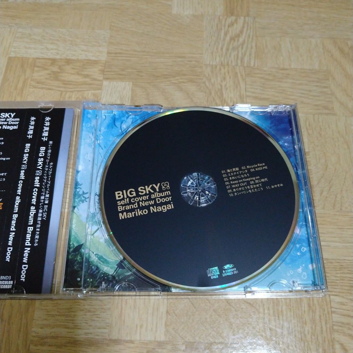 【希少】永井真理子直筆サイン付 BIG SKY セルフカバーアルバム 希少】永井真理子直筆サイン付 BIG SKY セルフカバーアルバム 超