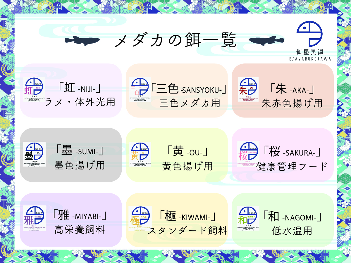 【餌屋黒澤】メダカ用高栄養育成フード「雅」0.25mm浮上性50g透明鱗・アルビノ・ヒカリ・ダルマ・ヒレ長・スワロー_画像3