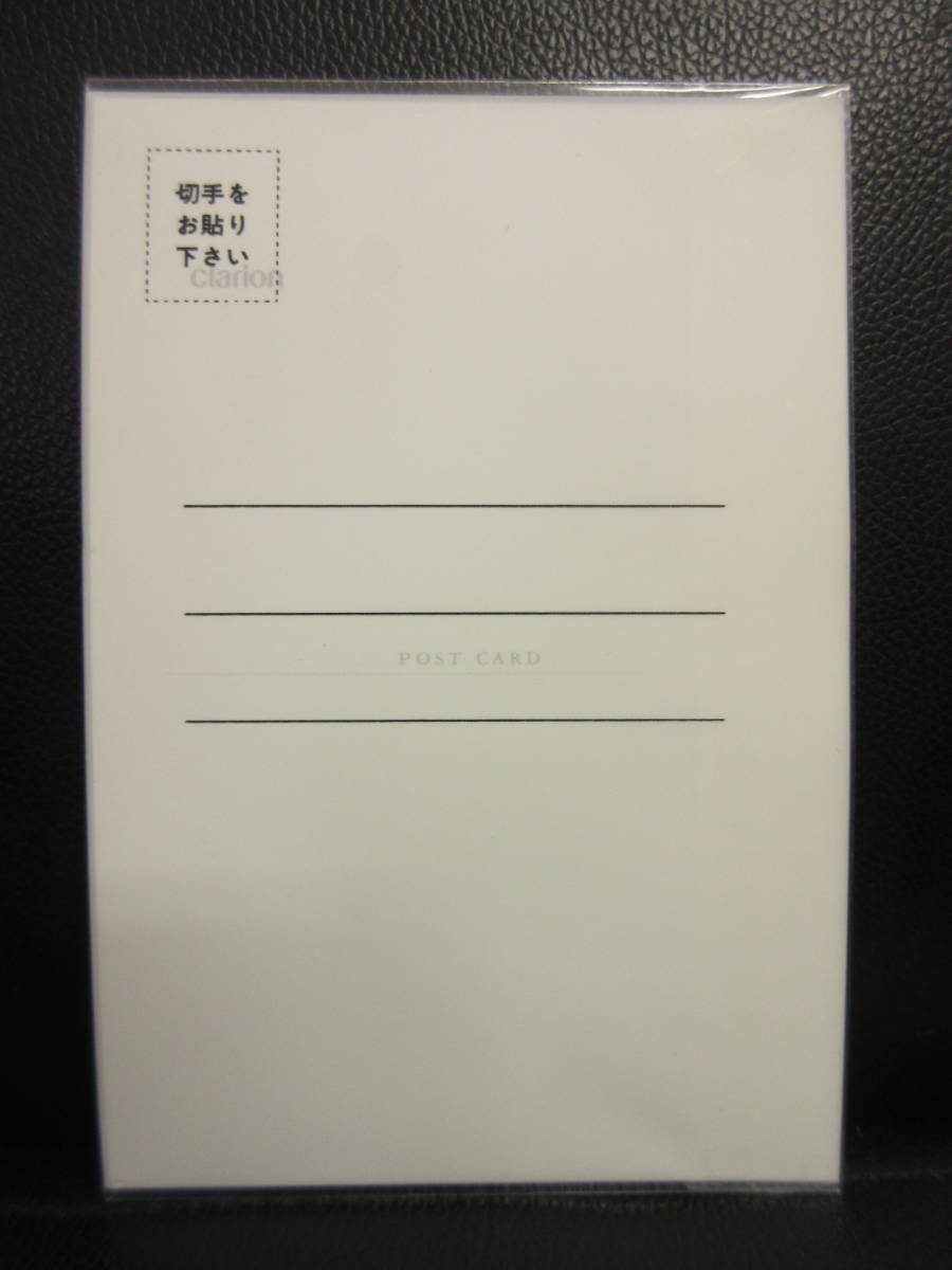 《テレカ》未使用 「河西りえ：1997年 クラリオンガール」 50度数：1枚 Clarion テレホンカード付きポストカード 金券_画像2