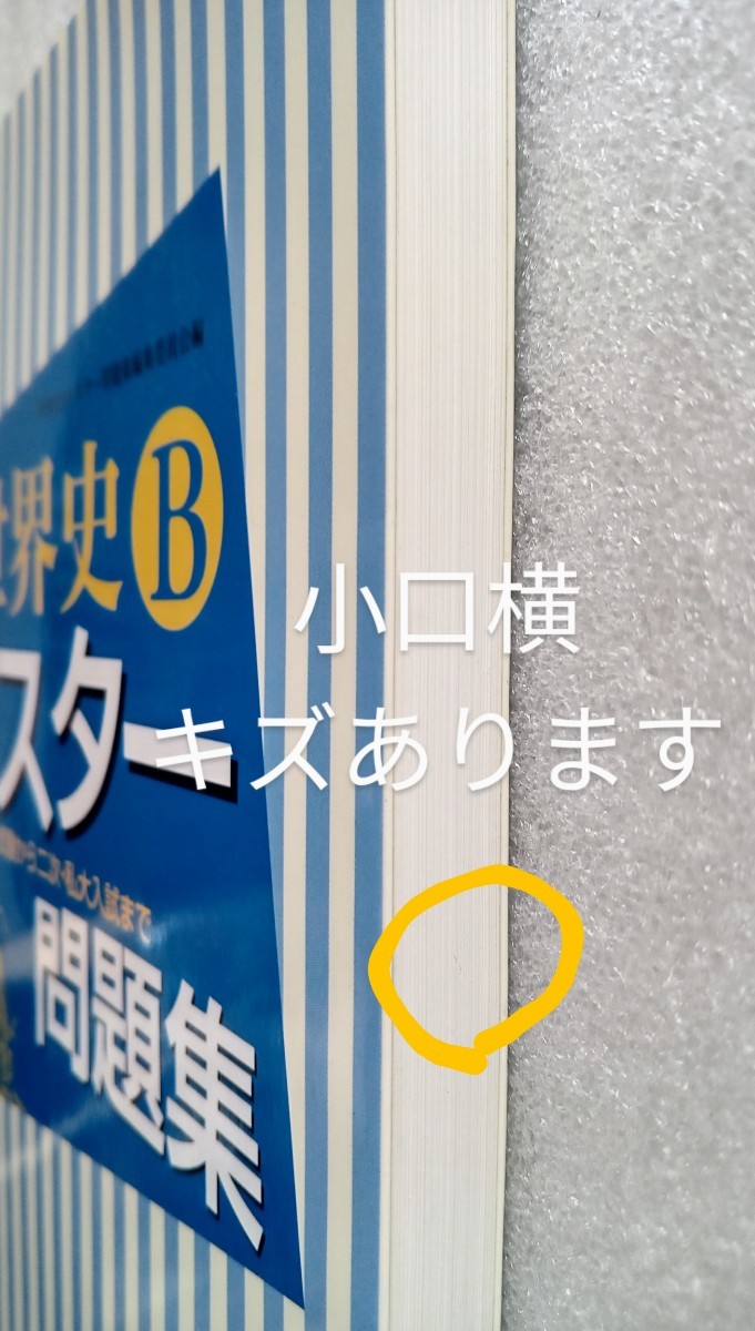 合格へのトライ 世界史B マスター問題集 センター試験から二次・私大入試まで 2012年8月10日第1版2刷 山川出版社