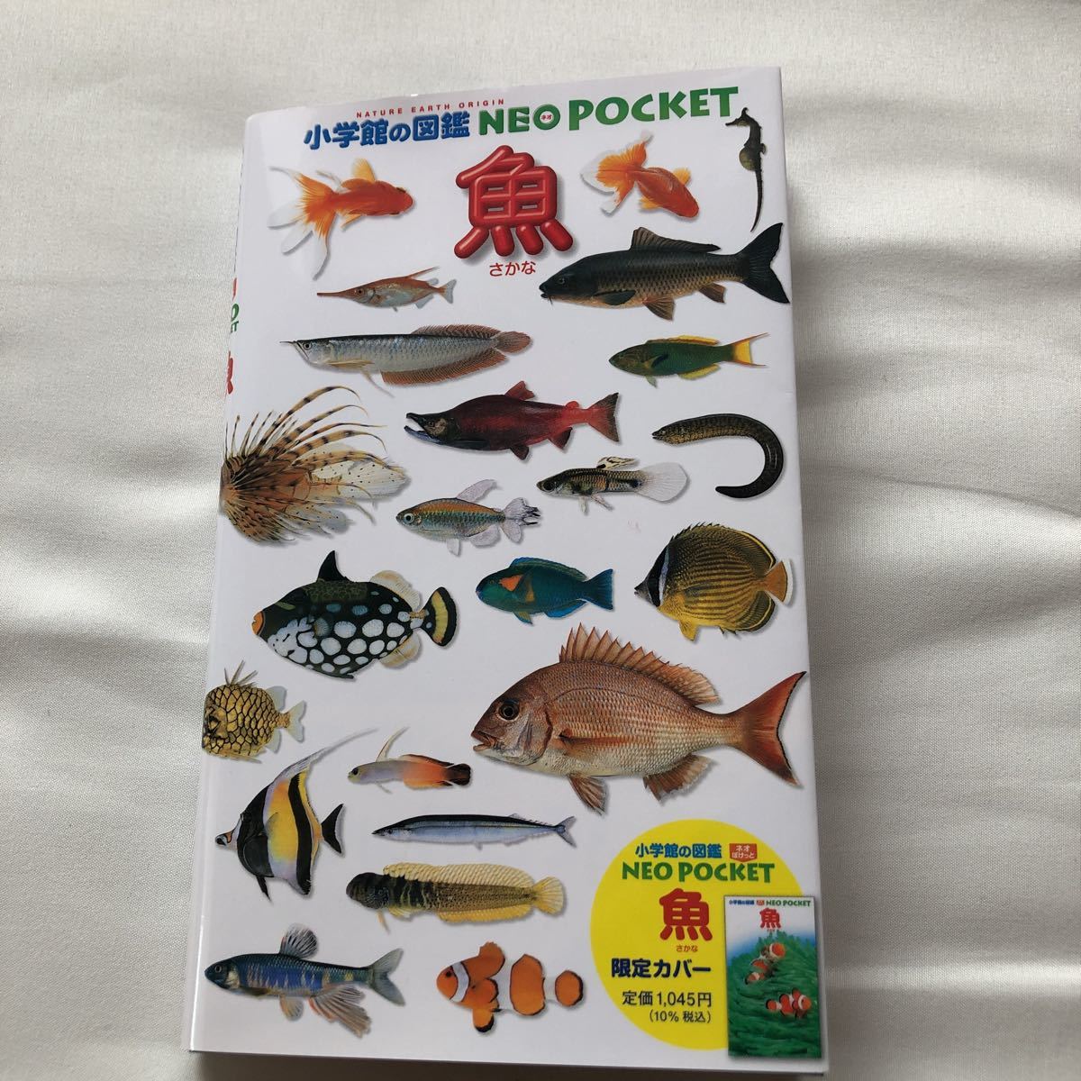 小学館の図鑑 NEO POCKET 魚 限定カバー|Yahoo!フリマ(旧 小学館の図鑑 NEO POCKET 魚 限定カバー|Yahoo!フリマ(旧