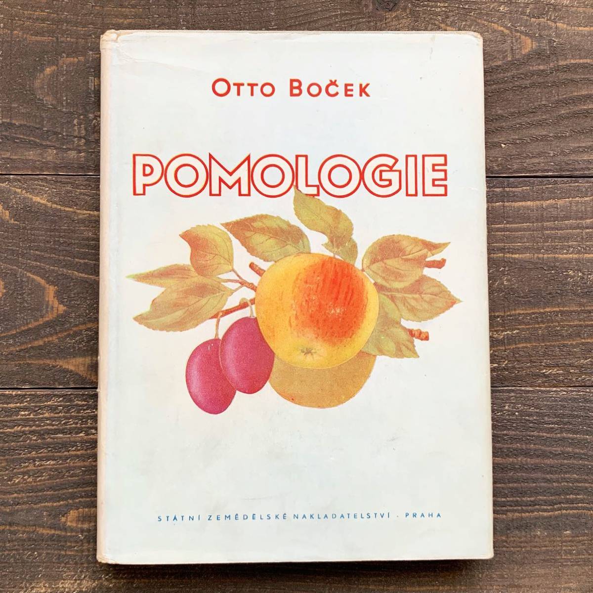 チェコの古い果物の図鑑(POMOLOGIE 1953年)/アンティーク ヴィンテージ ヨーロッパ 植物画 花 果物画 洋書 ボタニカルアート 雰囲気◎/