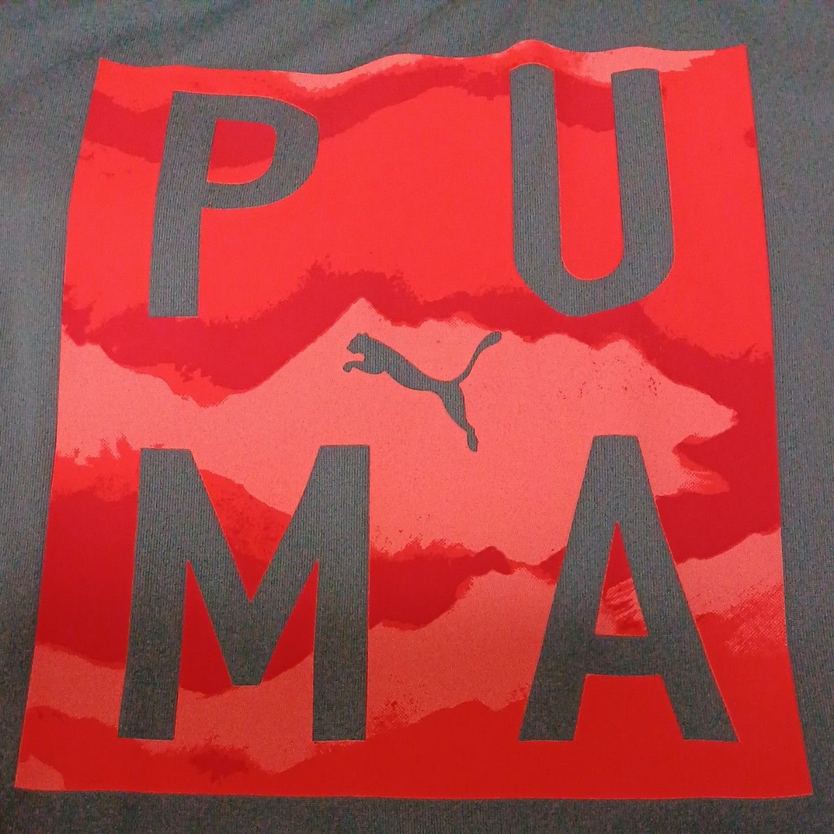 PUMA半袖 TシャツスポーツウェアMサイズ