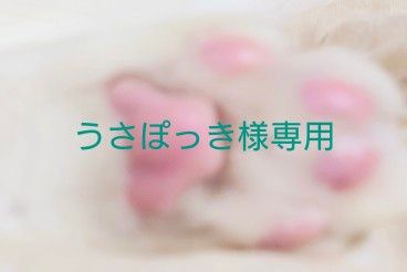 うさぽっき様専用です|Yahoo!フリマ(旧PayPayフリマ)