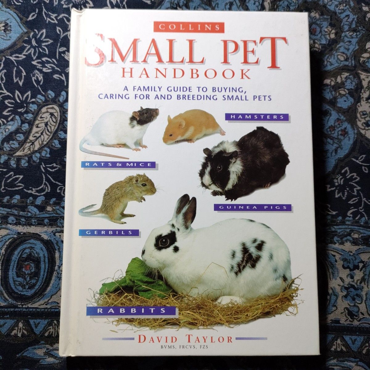 ハムスター　ウサギ　SMALL PET HANDBOOK　ペット　英語
