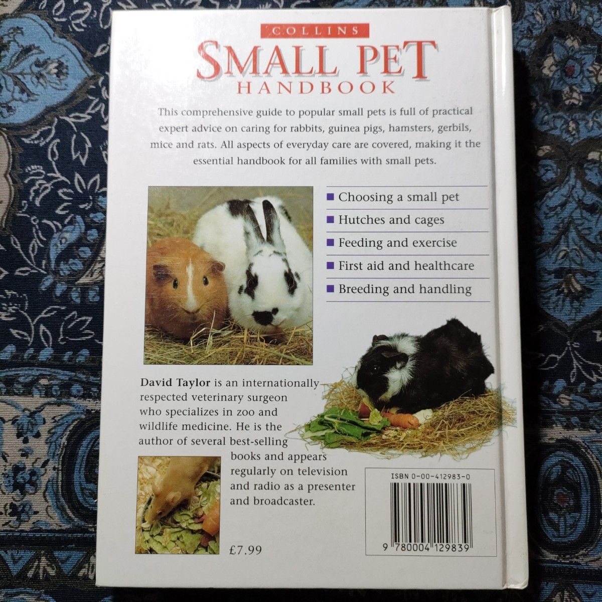 ハムスター　ウサギ　SMALL PET HANDBOOK　ペット　英語