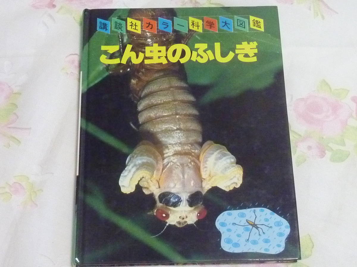 ＵＳＥＤ★「こんちゅうとあそぼう」「こん虫のふしぎ」2冊セット／家庭学習・自由研究に／とだこうしろう・講談社カラー科学大図鑑_画像8