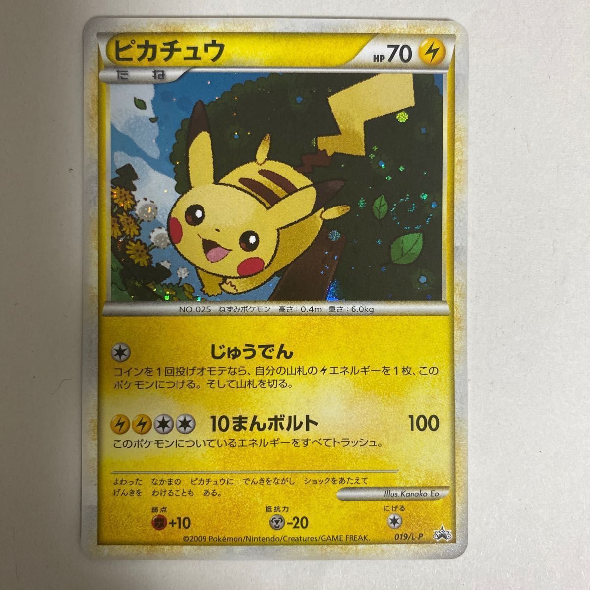 ピカチュウ 019/L-P ポケモン大好きクラブ プロモカード｜Yahoo