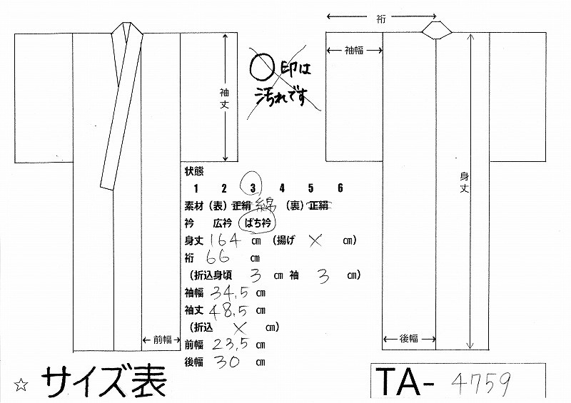 TA-4759　トールサイズ　浴衣　グリーンに桔梗_画像2