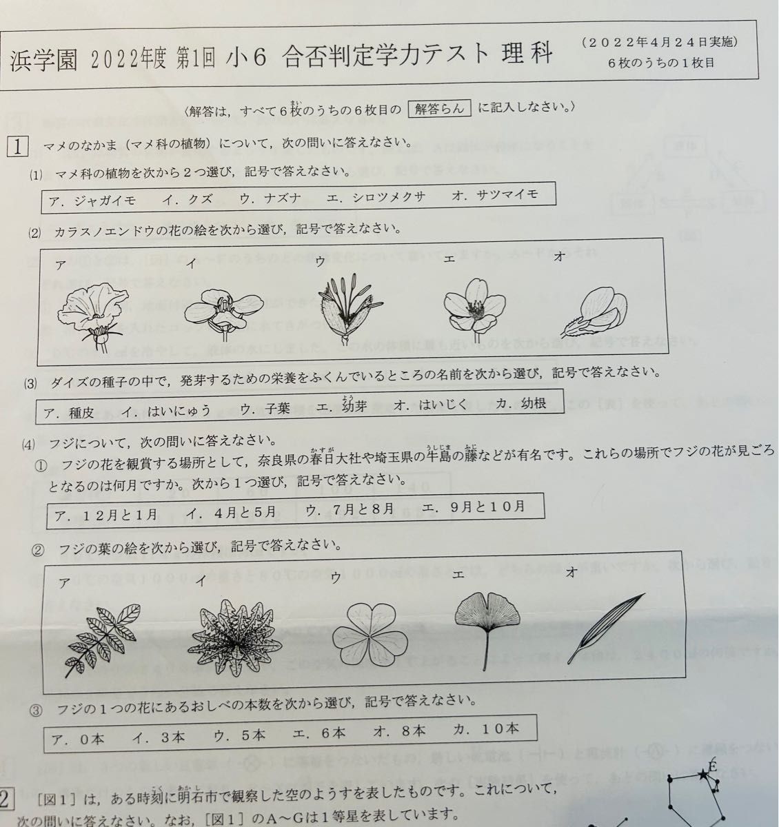浜学園 合否判定学力テスト 小6 2023年 2022年 3教科 成績資料付 浜学園 合否判定学力テスト 小6 2023年 2022年 3教科 成績資料付