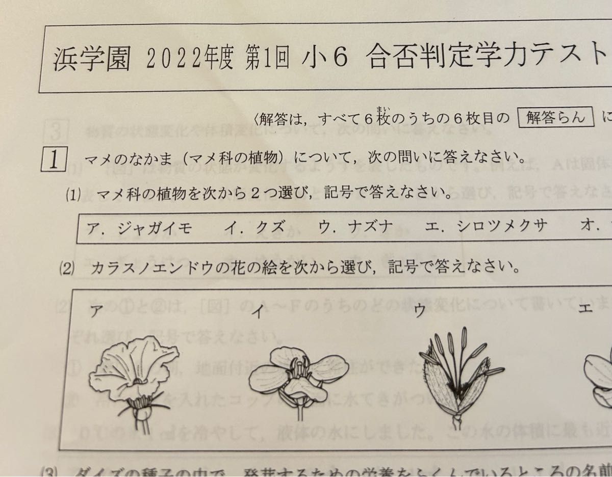 浜学園 【最新版】2022年度 小6合否判定学力テスト|Yahoo 浜学園 【最新版】2022年度 小6合否判定学力テスト|Yahoo