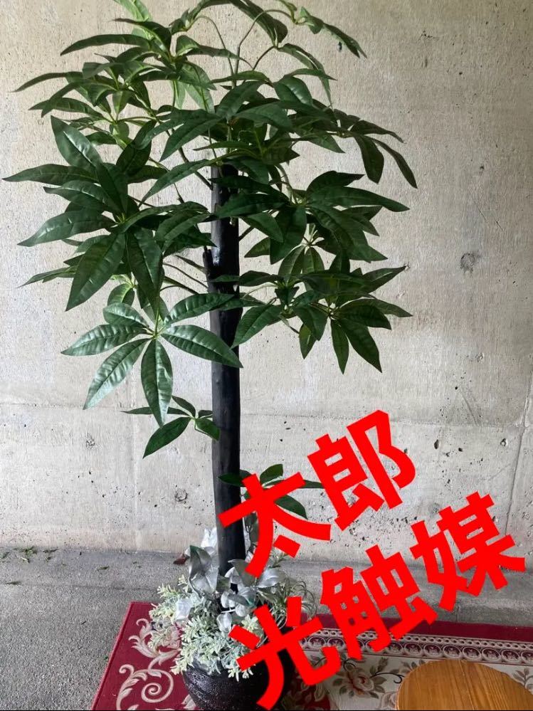 光触媒 人工観葉植物 ウォールグリーン フェイクグリーン パキラ13070-