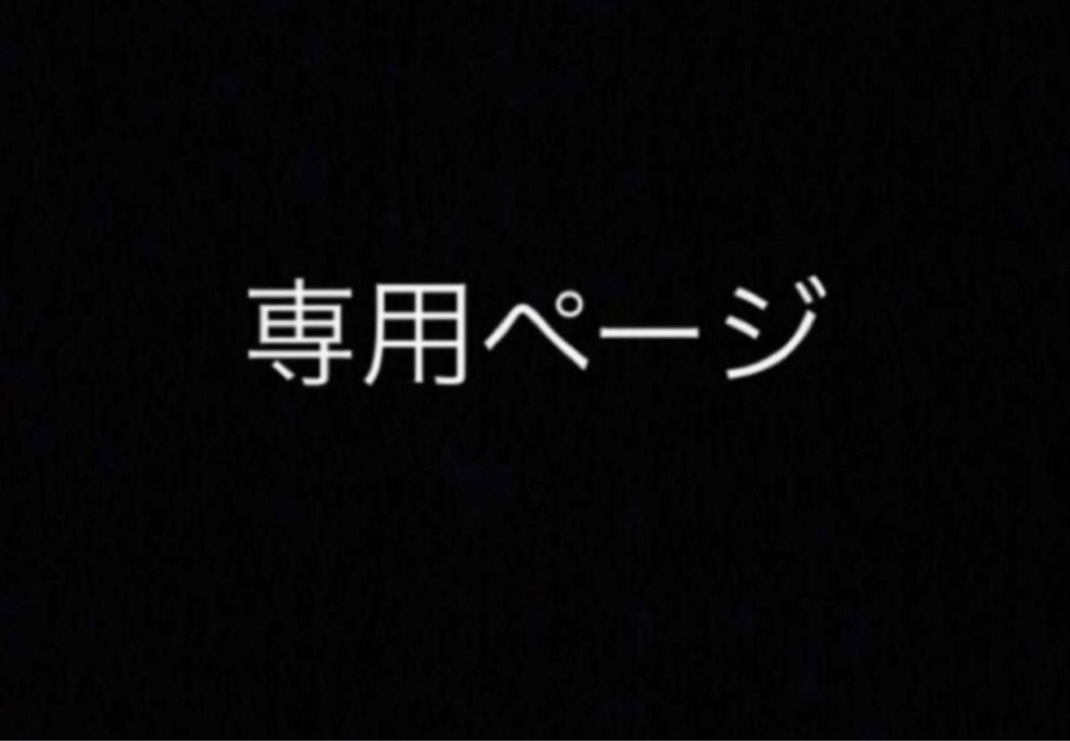 ジュニア様・専用【R・V10】|PayPayフリマ