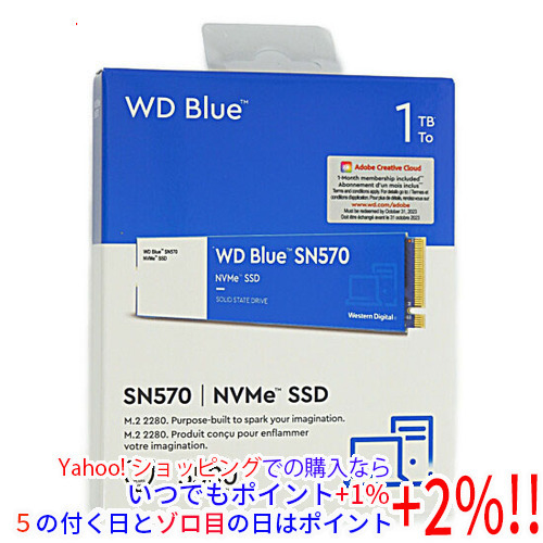 国産品 SN570 Blue WD SSD Digital製 【いつでも+1％！5のつく日とゾロ