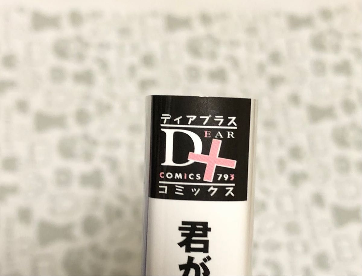 大麦こあら　君がわるい恋の話　とらのあな　小冊子