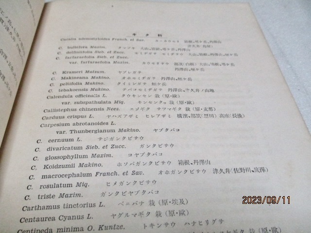 [ Kanagawa префектура растения список Kanagawa префектура . предмет исследование . Showa . год 7 месяц ] сосна . -слойный Taro ( сборник работа представитель ) Kanagawa префектура . предмет исследование . не продается 