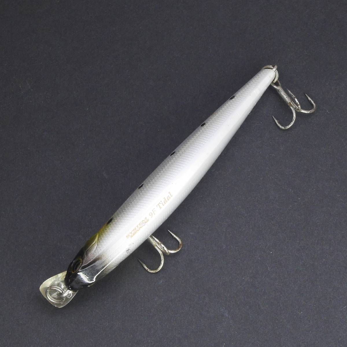 ジップベイツ ザブラ システムミノー 9F タイダル 闇鰯 ZBL SYSTEM MINNOW 11F Tidal ZipBaits_画像3