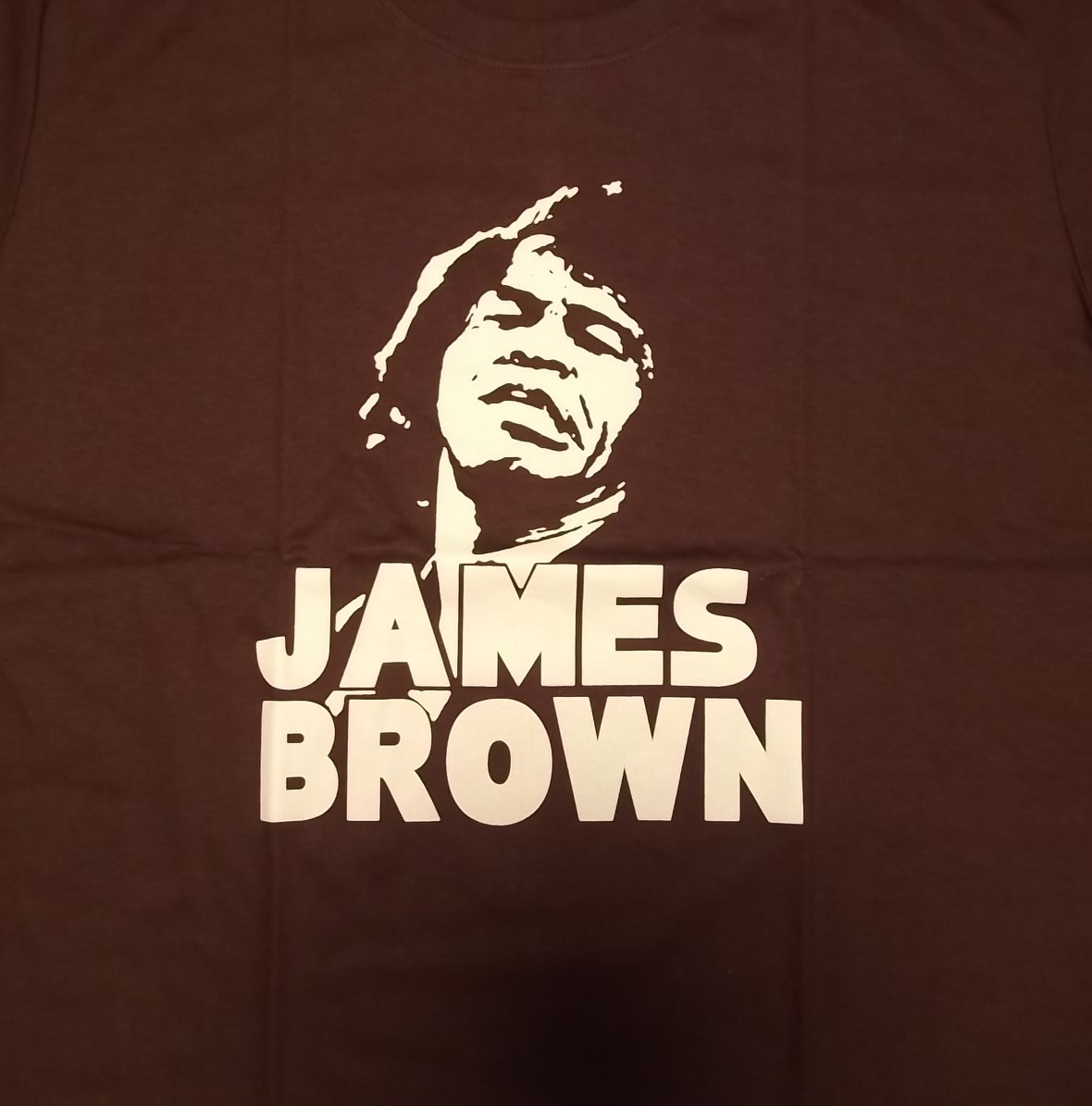新品 【James Brown】ジェームスブラウン プリント Tシャツ L // ファンク ソウル R＆B ブルースブラザース ゲロッパ JBの画像2