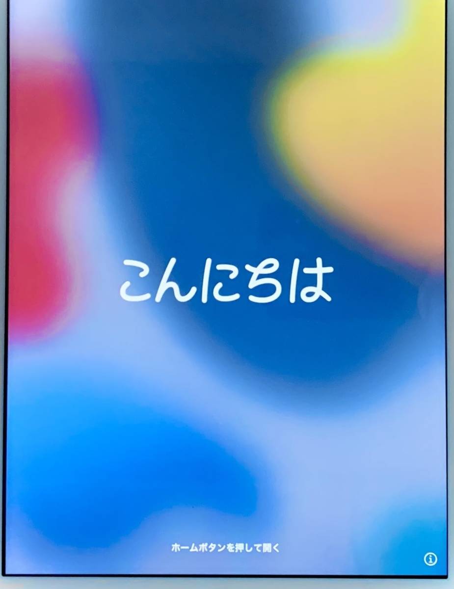 iOS最新17 iPad 6 本体 ipad 第6世代 apple タブレット アイ iOS最新17 iPad 6 本体 ipad 第6世代 apple タブレット アイ
