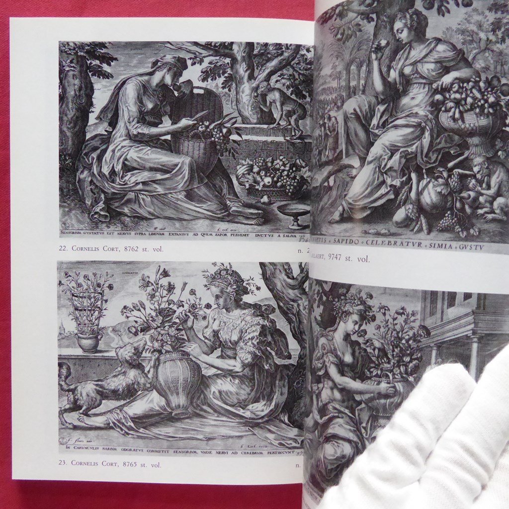 c6/洋書【フローラとポモナ-16-19世紀の素描と版画に見る園芸：Flora e Pomona/Olschki・1990年】_画像8