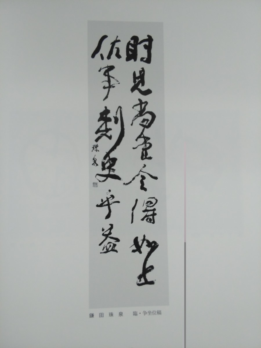 特2 52273 / 北海道書人展 第39回 2020 2020年12月25日発行 北海道書人団 特別招待作家 中野層翠 書道連盟理事長 羽毛蒼洲 選奨 書人団賞_画像5