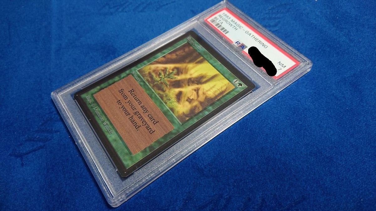 【PSA7 NM】MTG ベータ（β） 英語 新たな芽吹き / Regrowth 鑑定品