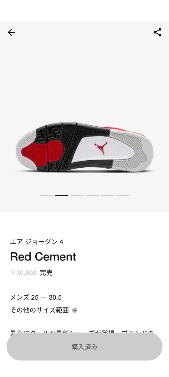 NIKE Air Jordan 4 Retro“Red Cement”　ナイキ エア ジョーダン 4 レトロ“レッド セメント”27.5cm_画像6