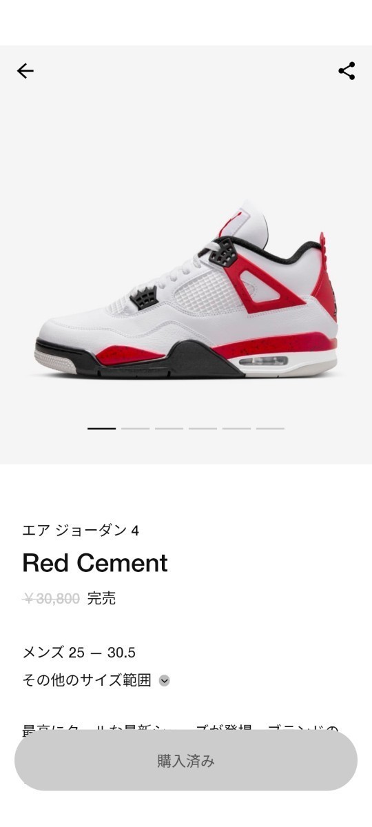 NIKE Air Jordan 4 Retro“Red Cement”　ナイキ エア ジョーダン 4 レトロ“レッド セメント”27.5cm_画像7