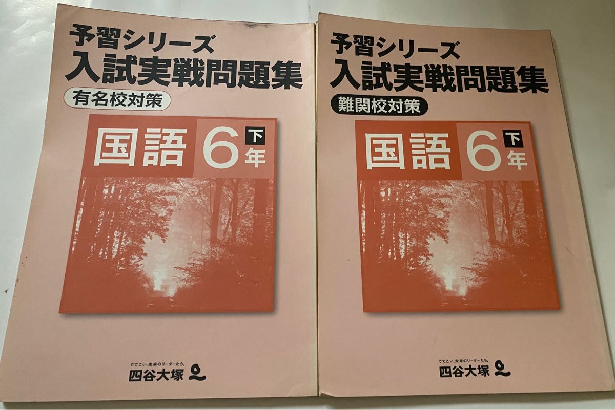 四谷大塚　予習シリーズ　問題集　6年生　下　2冊