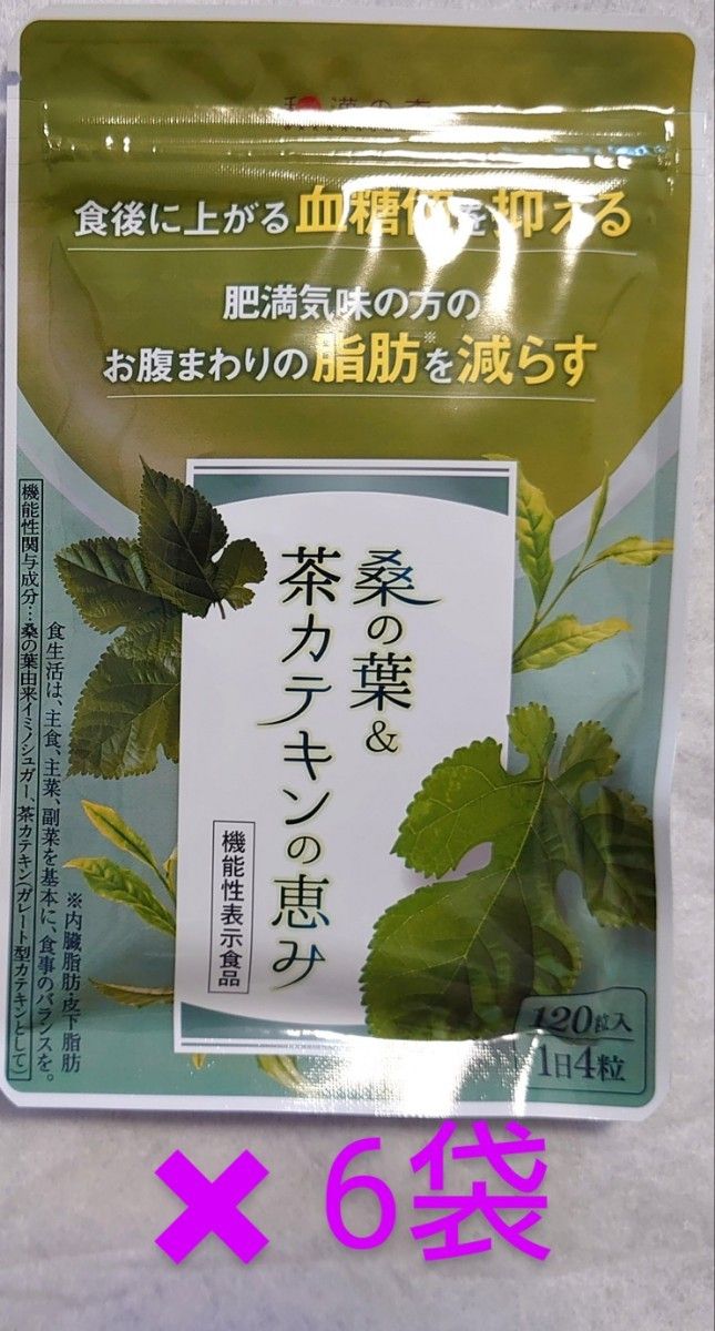 和漢の森 桑の葉&茶カテキンの恵み 120粒入×6袋｜PayPayフリマ