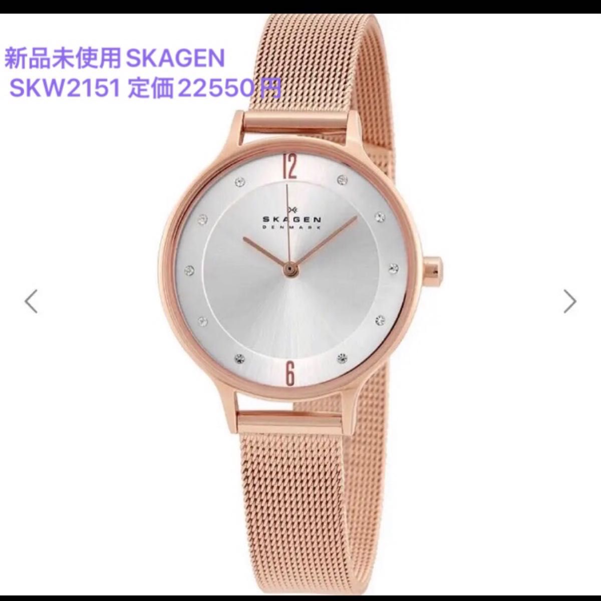 新品SKAGEN ANITA LILLE スカーゲン　SKW 2151