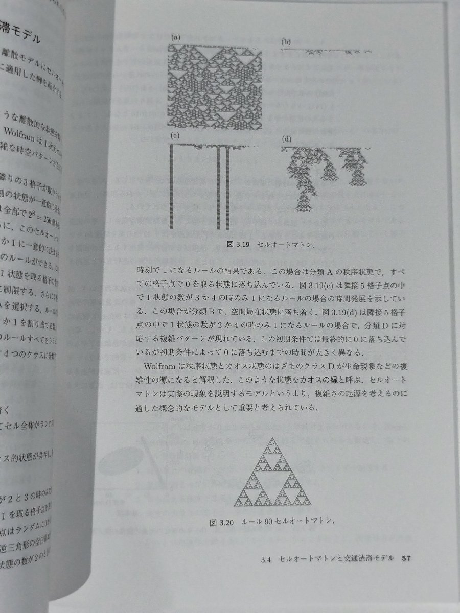 臨時別冊・数理科学 SGCライブラリ 141 複雑系科学への招待 坂口英継・本庄春雄 共著 サイエンス社【ac04c】_画像6