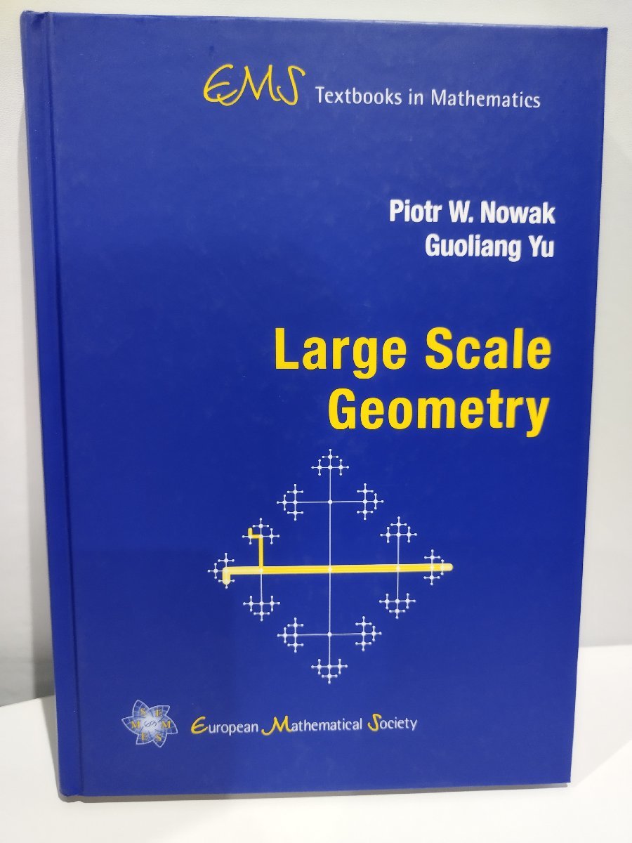 ランキング上位のプレゼント Large Scale Geometry 大規模幾何学 洋書