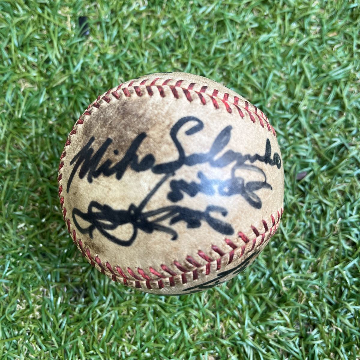  Hanshin Tigers 1962 year autograph autograph ball ( blue rice field .*. mountain real * Michael so rom ko* Yoshida . man other all 9 name )* decoration case * Japan series half ticket attaching 