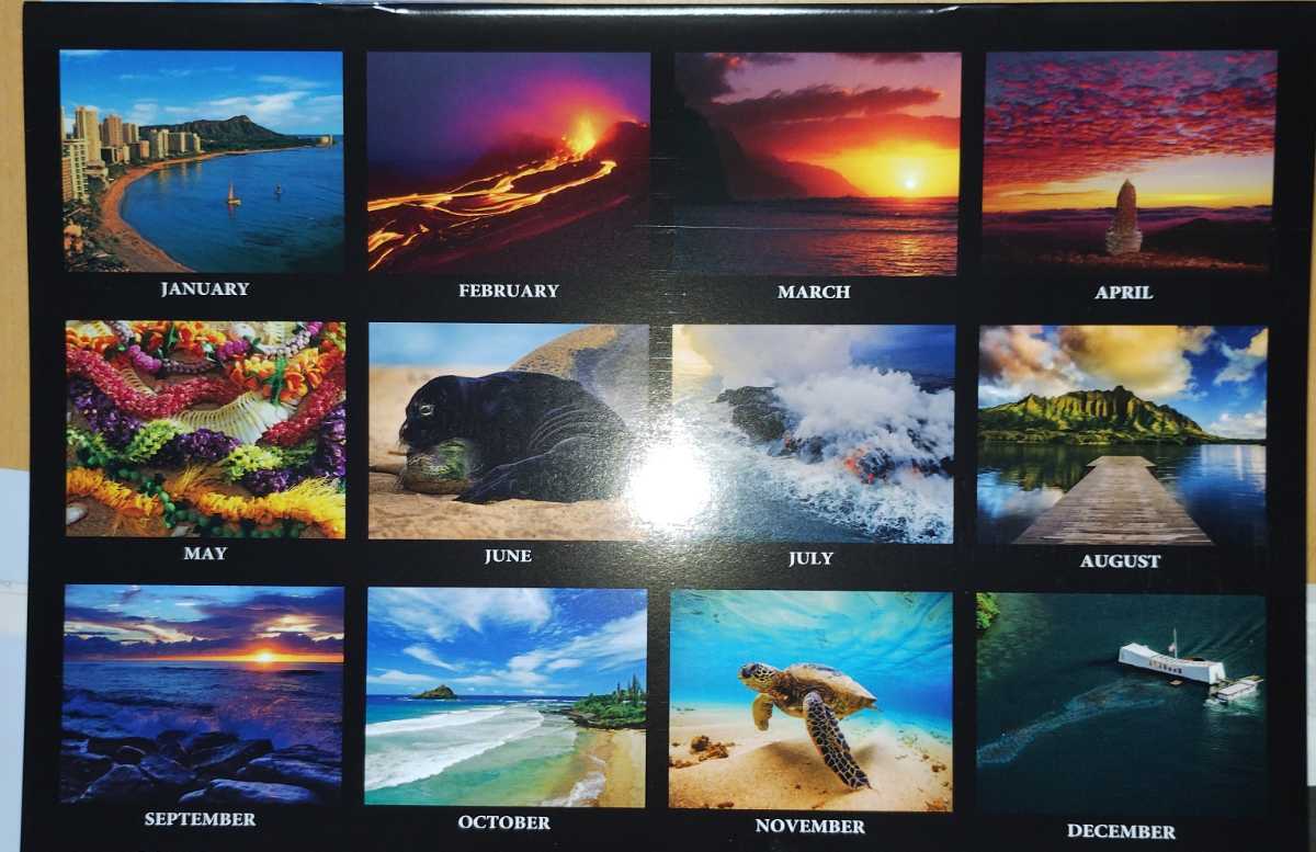 送料無料　ハワイ　カレンダー　2024年　風景　大自然　海　ダイヤモンドヘッド　花　亀（ホヌ）_画像2
