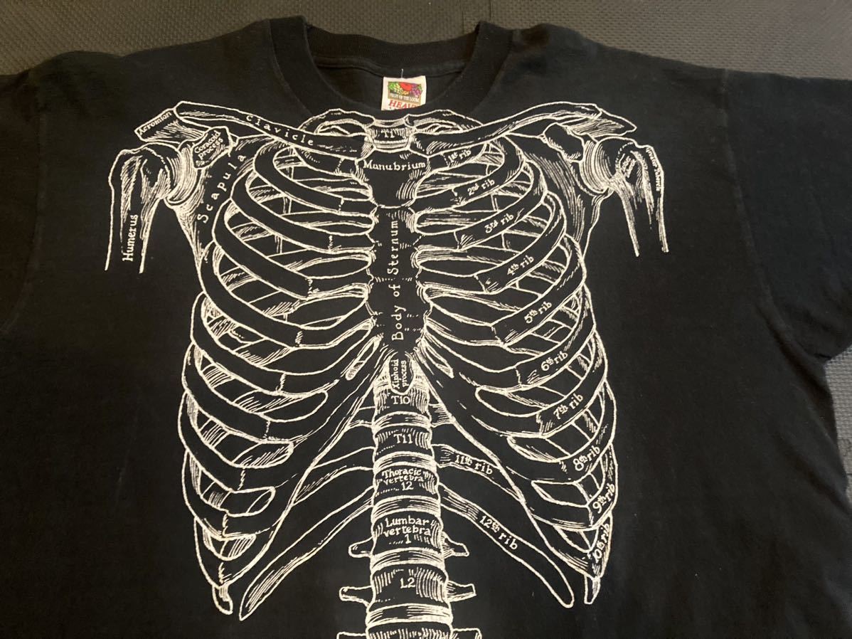 100 %品質保証 解剖学Tシャツ 両面大判ver ガイコツ ドクロ