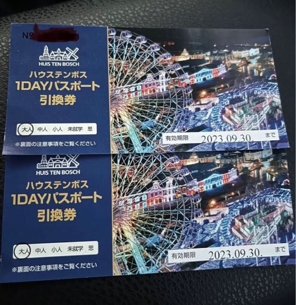 ハウステンボス チケット 1dayパスポート引換券 2枚｜PayPayフリマ