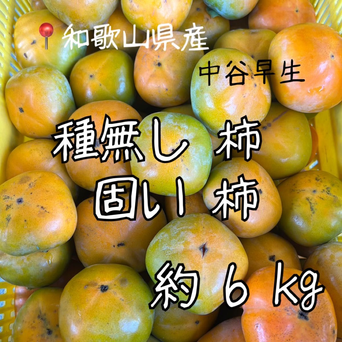 和歌山県産　中谷早生柿　10kg  硬め　4