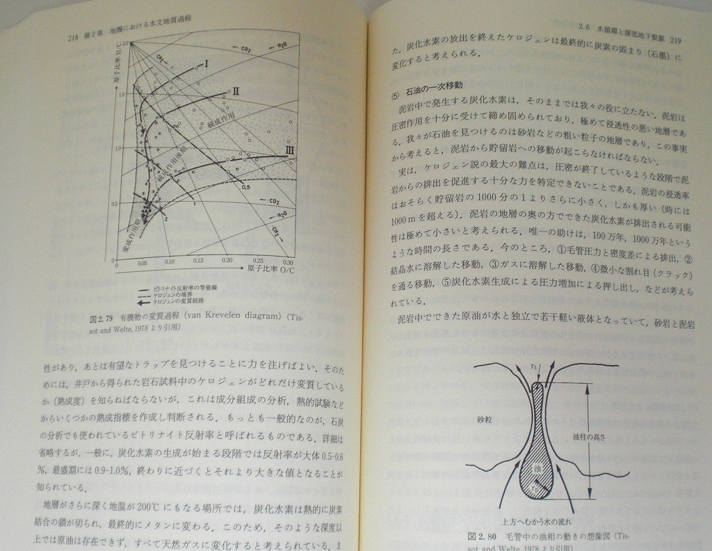 即決 送料無料 地圏の水環境科学 登坂博行 東京大学出版会 2006 水問題 水循環 気候表層 風化 浸食過程 水質 流域と 水収支水資源 水汚染_画像9